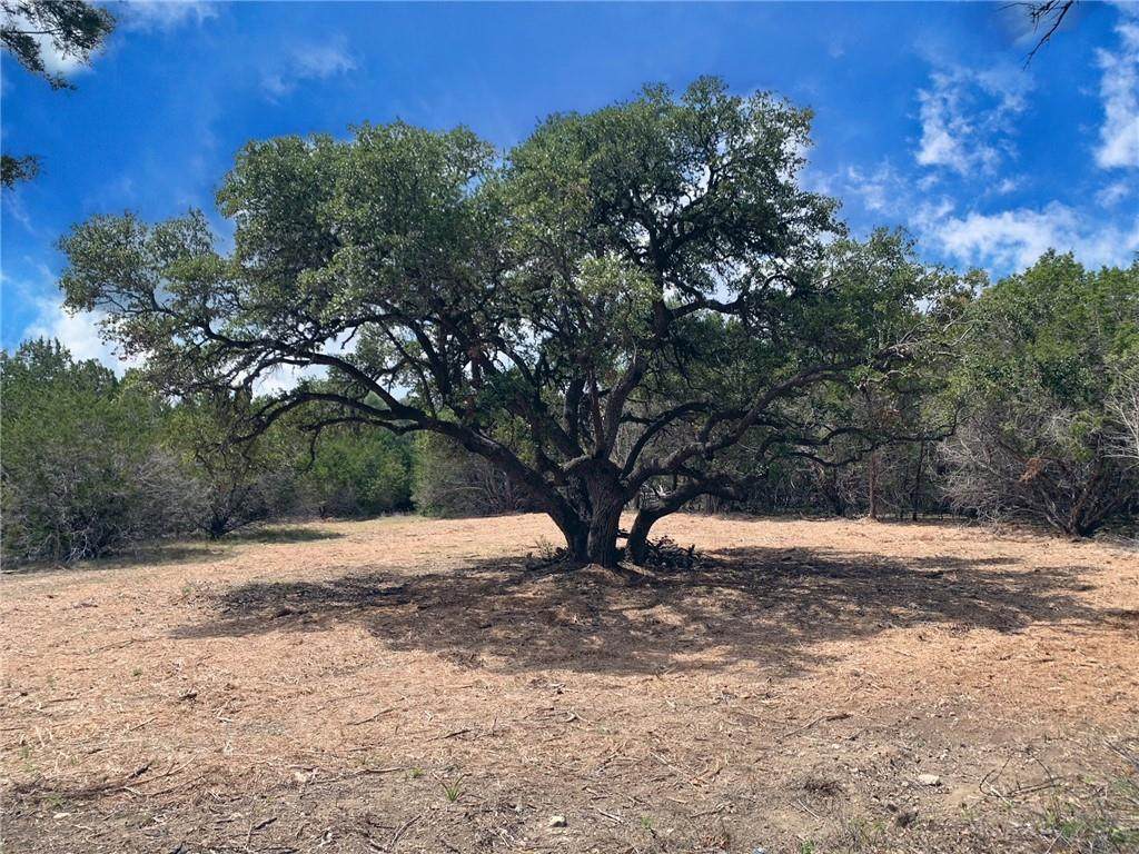 11845 Fm 32 Rd - Photo 1