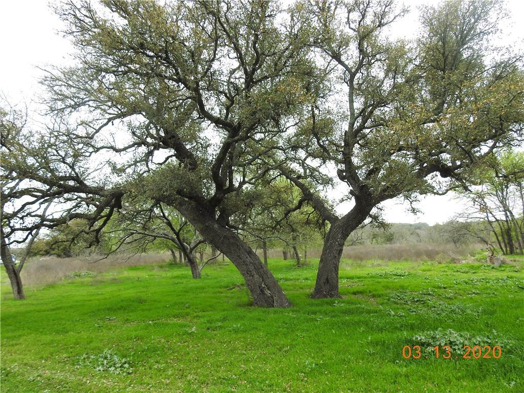 930 County Road 223 - Photo 1