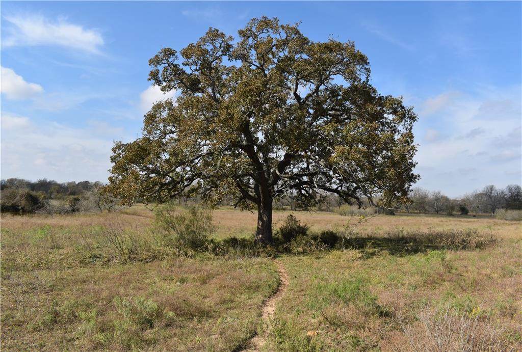2714 Fm 713 - Photo 1