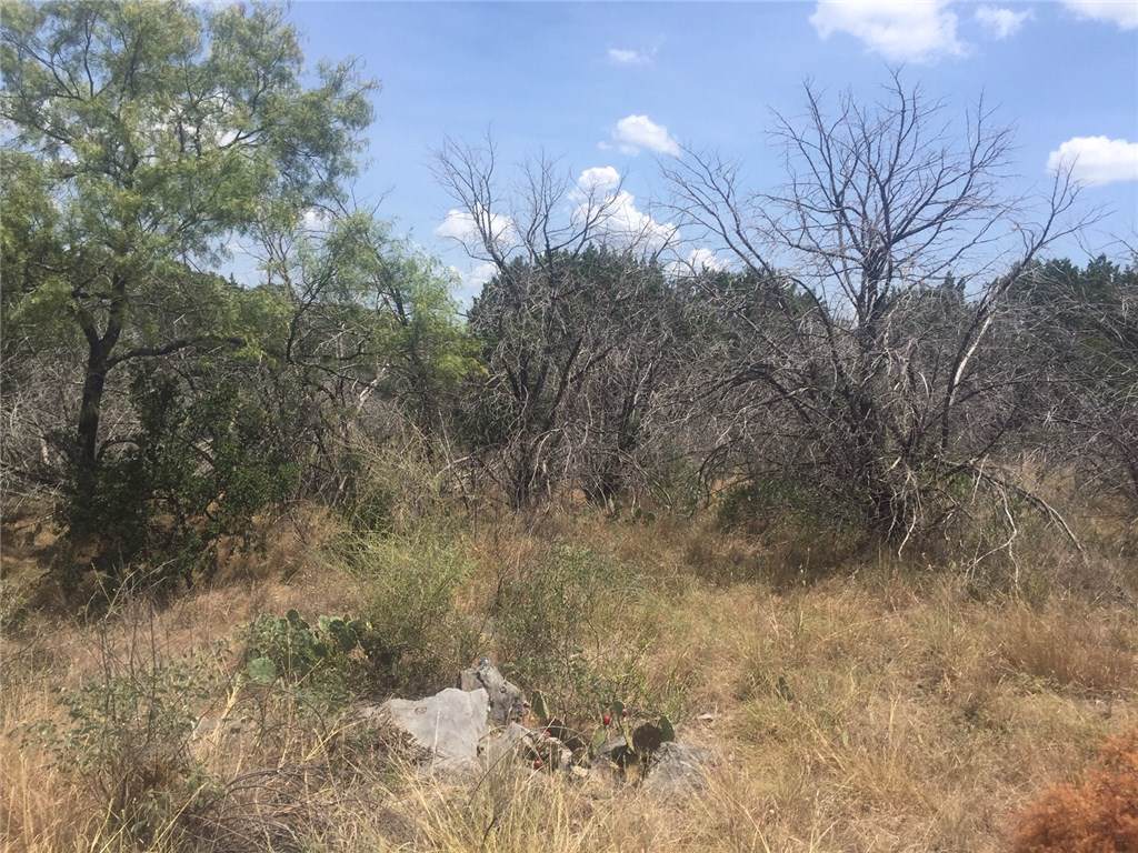 0 Ponderosa Cir - Photo 1