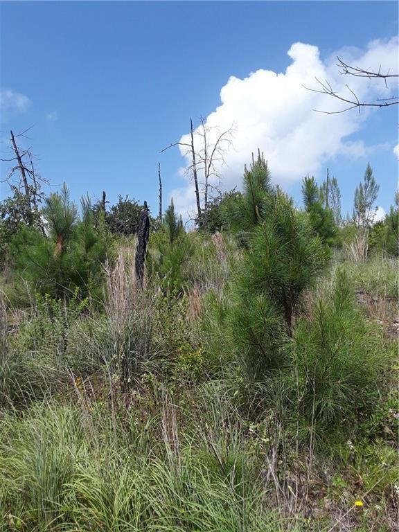 000 Spring Hollow Trail - Photo 1