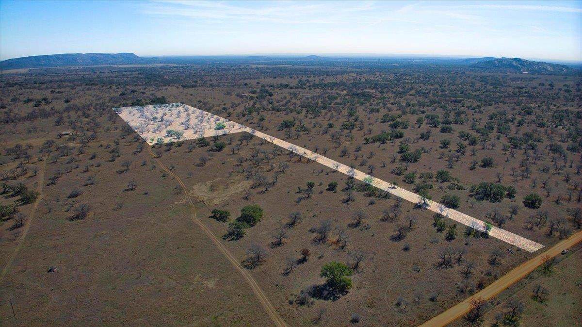 17431 Hickory Grove Dr - Photo 1