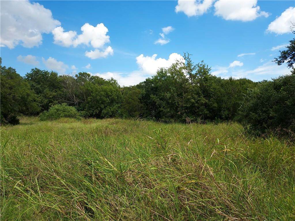 13007 Silver Creek Dr - Photo 1