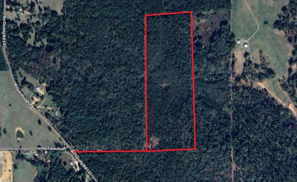 000 An County Road 137 Rd - Photo 1