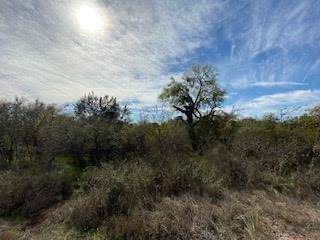 000 Castlehills - Photo 1