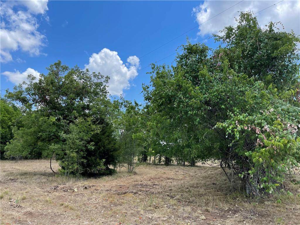Lot 22-B Tumbleweed Trl - Photo 1