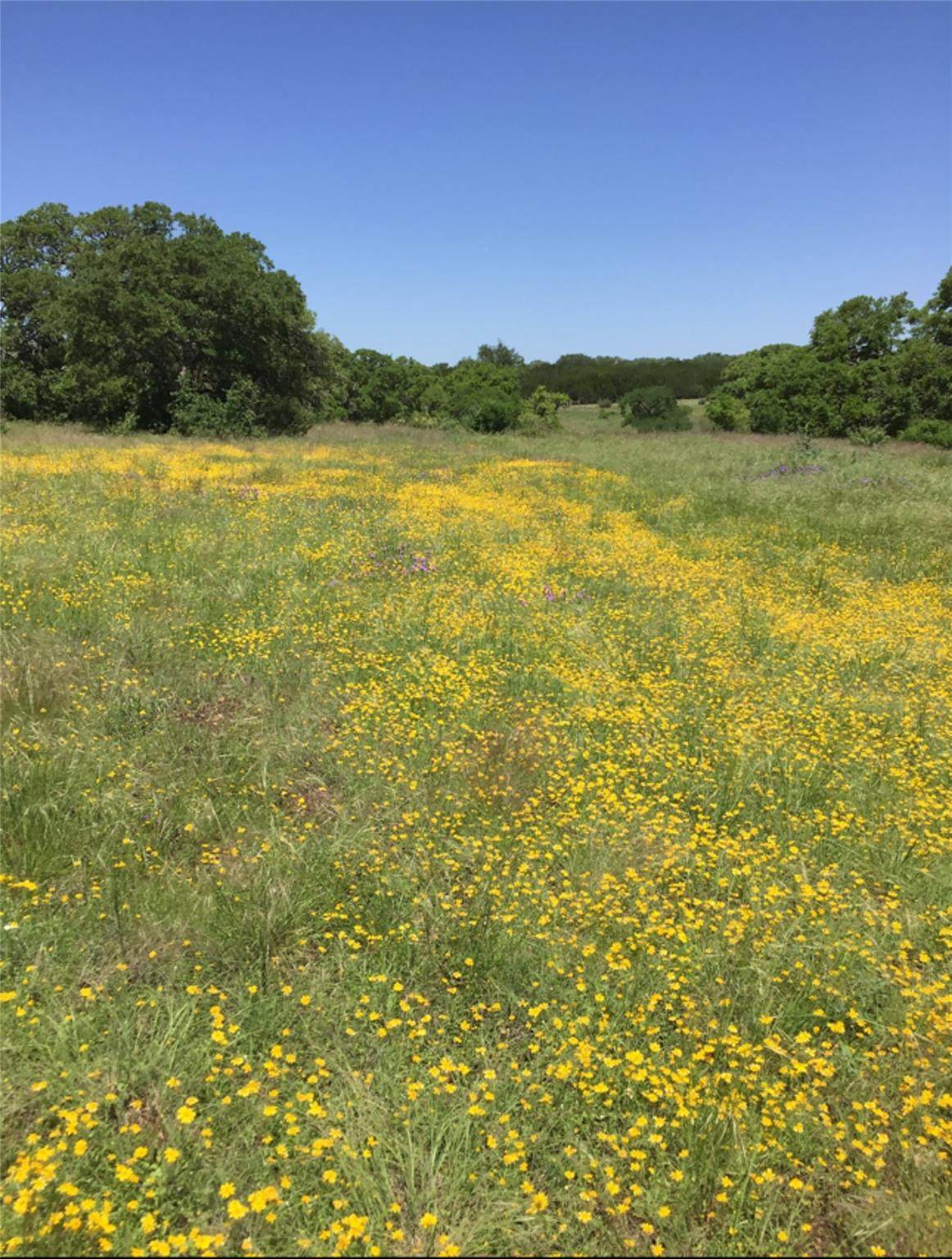 184 Moondance Trl - Photo 1