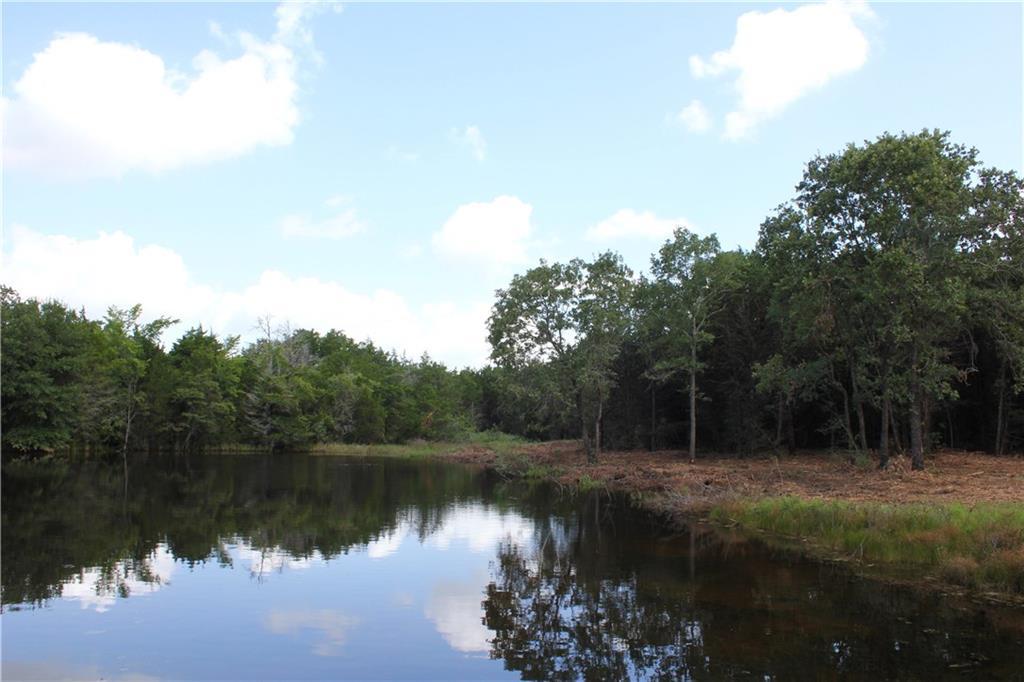 00 County Road 411 - Photo 1