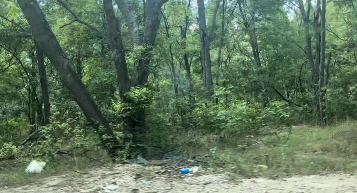 4205 Imperial Dr - Photo 1