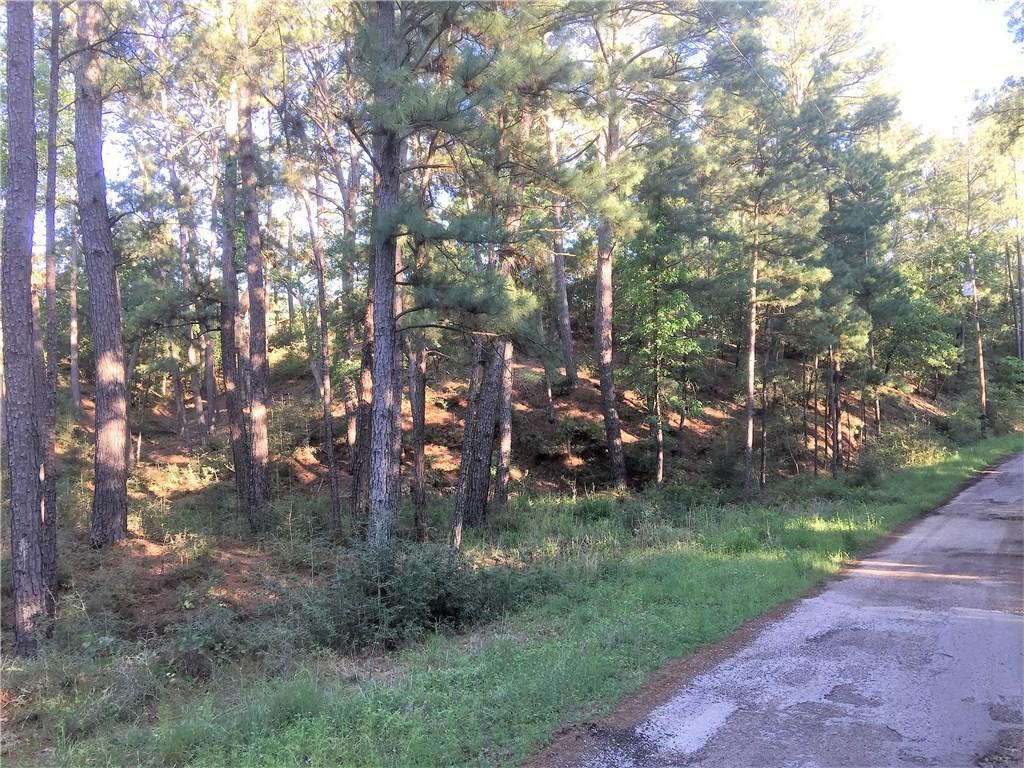 8126 Hekili Dr - Photo 1