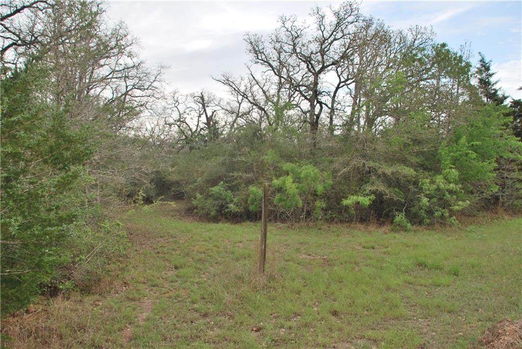 1839 Lariet Dr - Photo 1