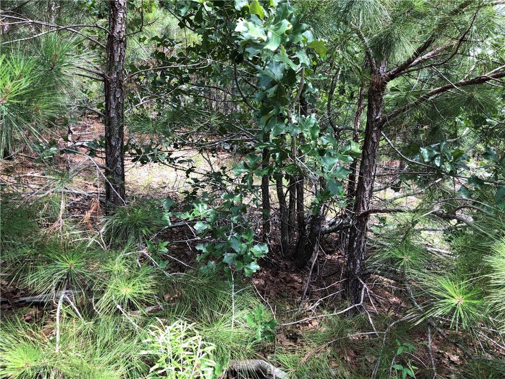 Lot 79 Lakeside Dr - Photo 1