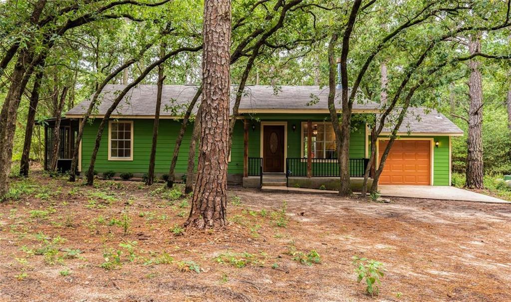 2559 Highway 290 - Photo 1