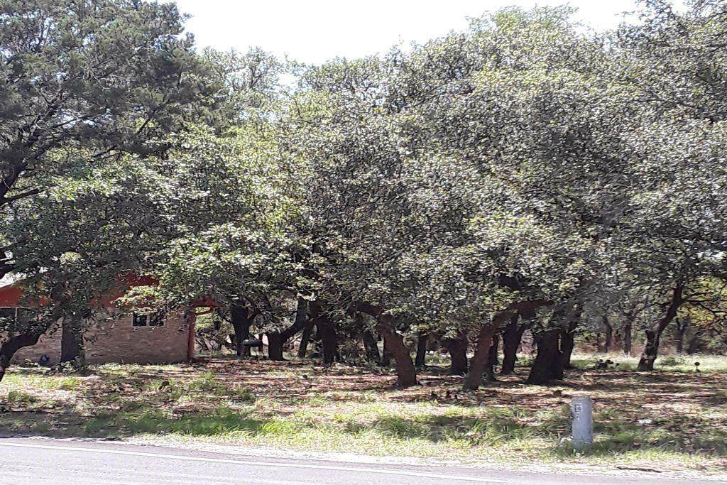 20201 Highland Lake Dr - Photo 1