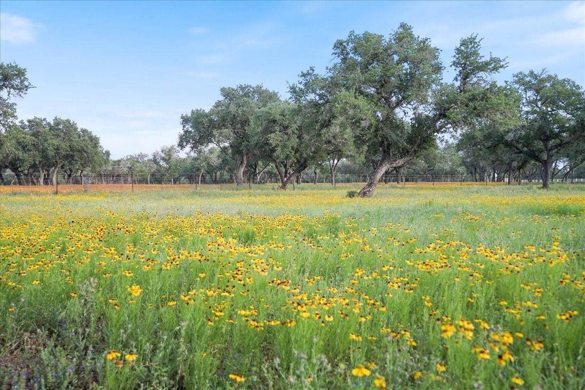 24900 Pedernales Canyon Trl - Photo 1