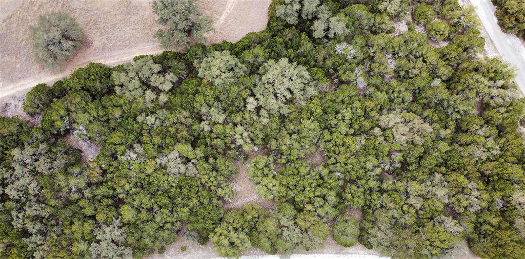 8446 Corral Ln - Photo 1