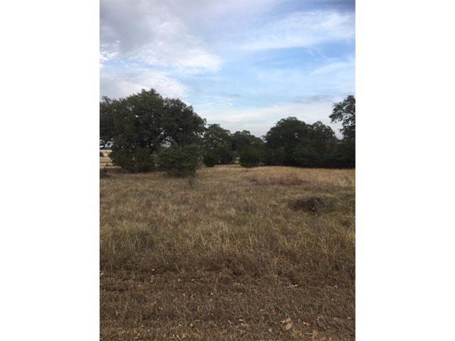 0000 N Lon Price - Photo 1