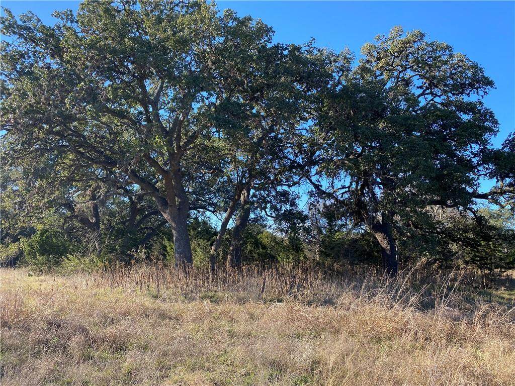 197 Charro Vista Dr - Photo 1