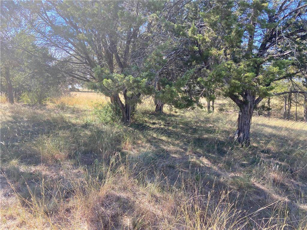 105 Cliff Run - Photo 1