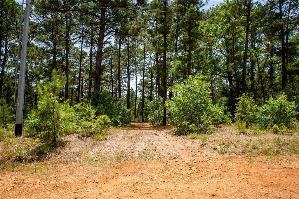 001 Pebble Walk Ct - Photo 1