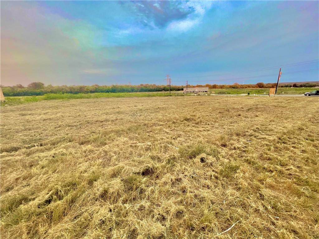 LOT 17 Petunia Cv - Photo 1
