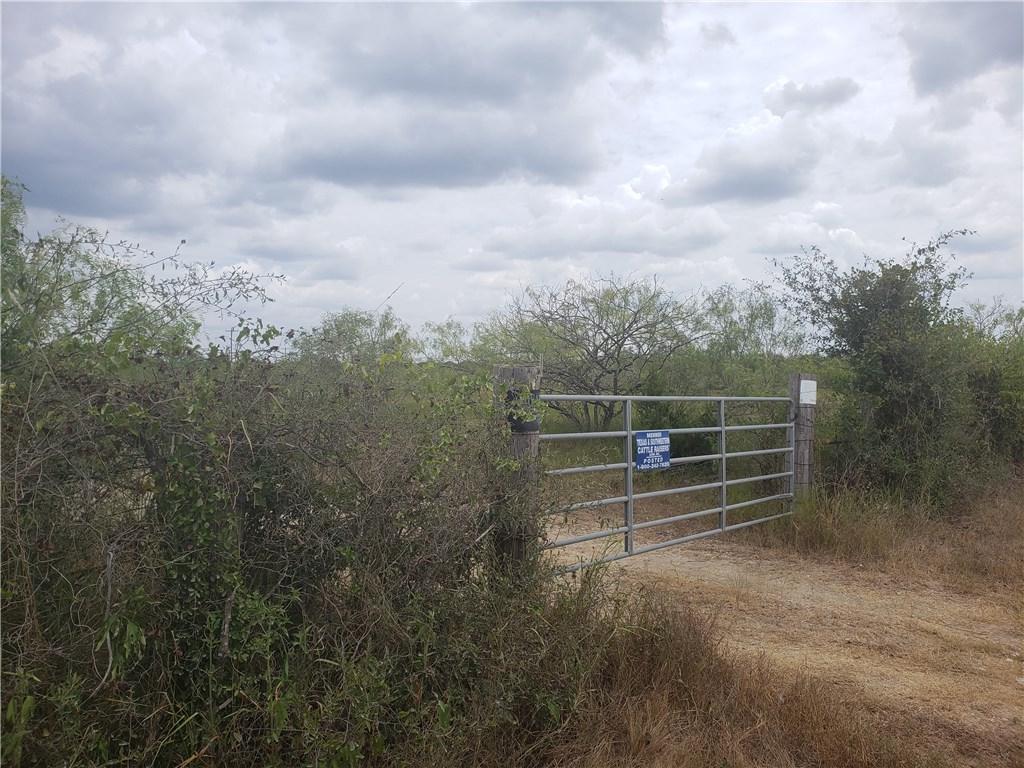 TBD Fox Ln - Photo 1