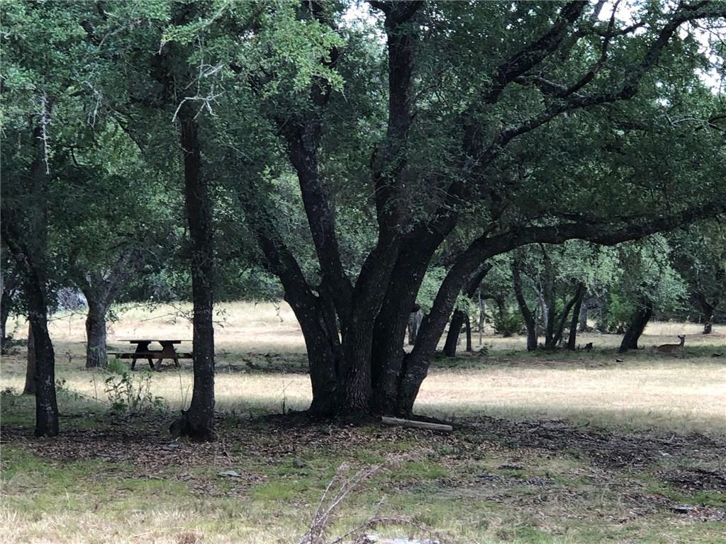 108 El Campo - Photo 1