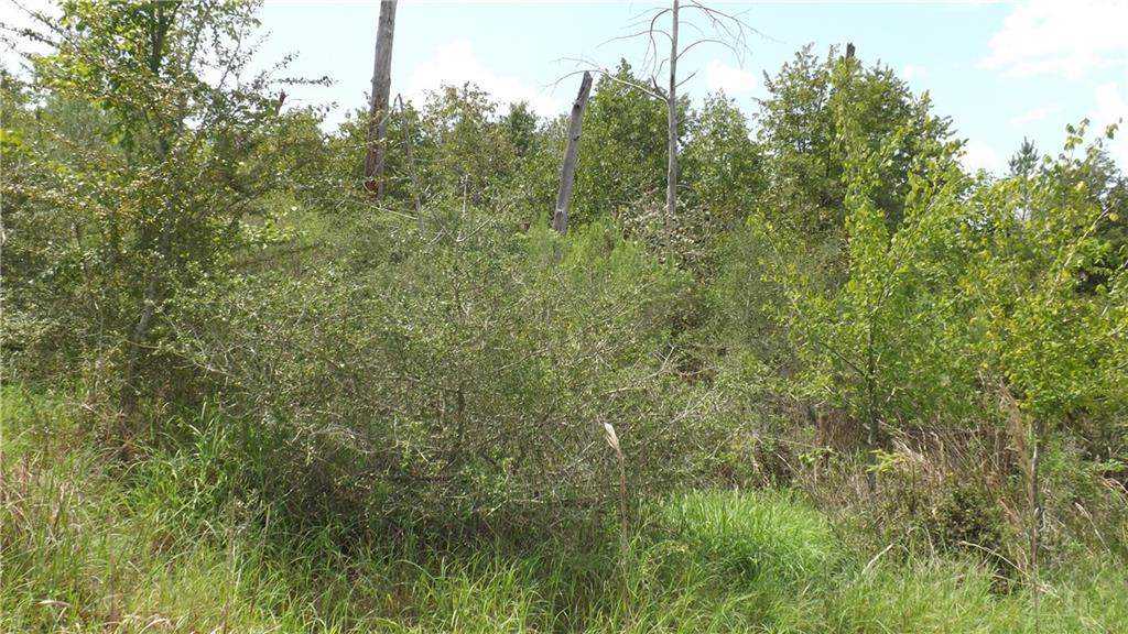 TBD Lot 526 Kipahulu - Photo 1