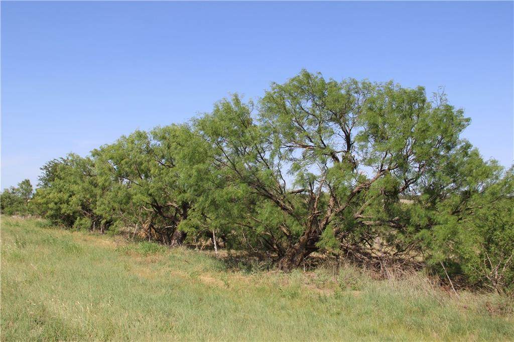 Tract B Hwy 377 - Photo 1