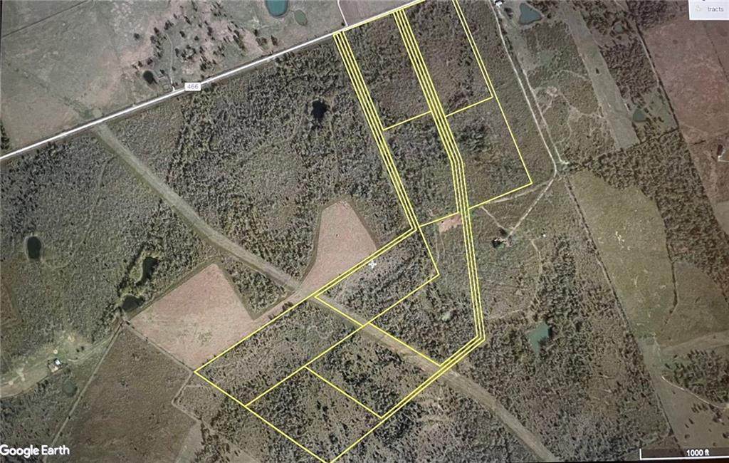 Lot 5 County Road 466 - Photo 1