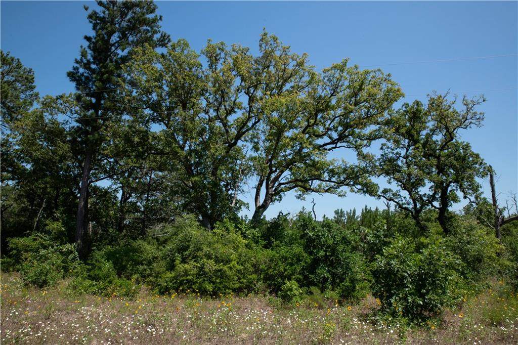 TBD Ponderosa Loop - Photo 1