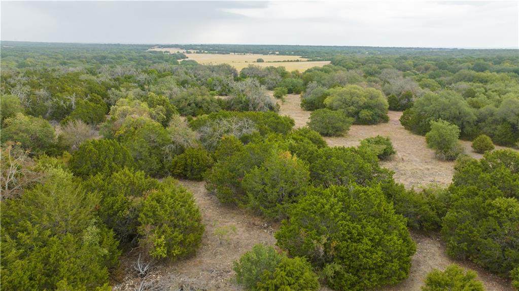 15919 Crows Ranch Rd - Photo 1