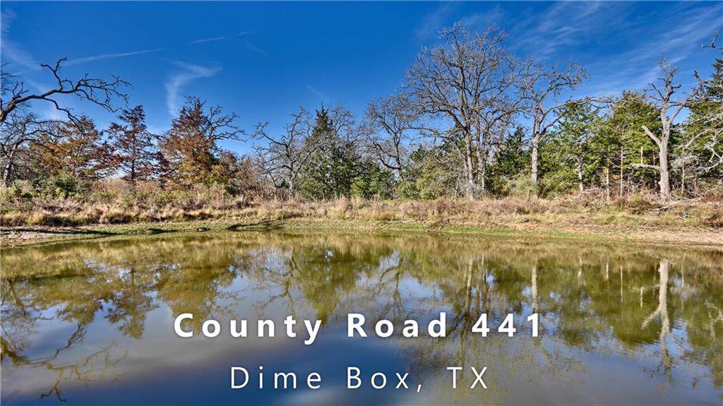 1250 County Road 441 - Photo 1