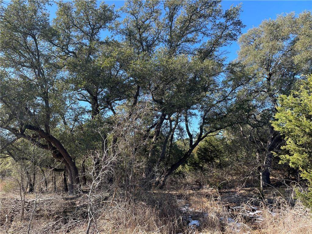 2801 County Road 255 - Photo 1