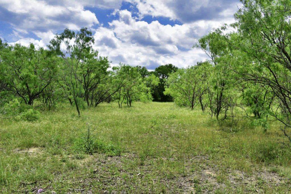 Lot 2 TBD County Road 672 - Photo 1