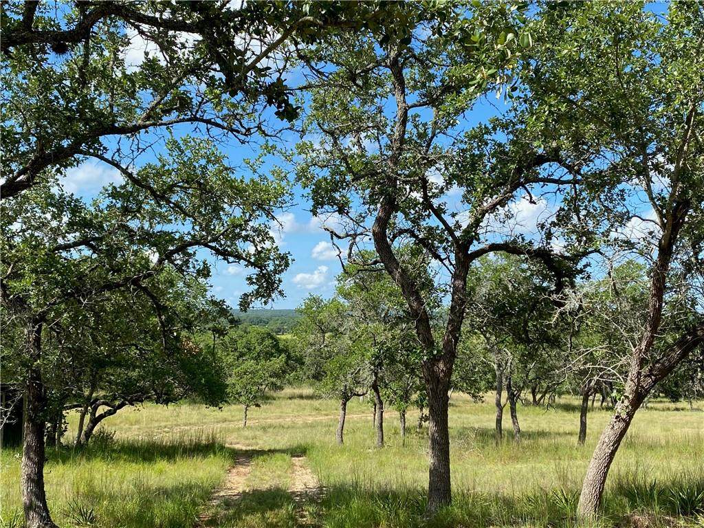 LOT 8 River Ridge Ranch - Photo 1