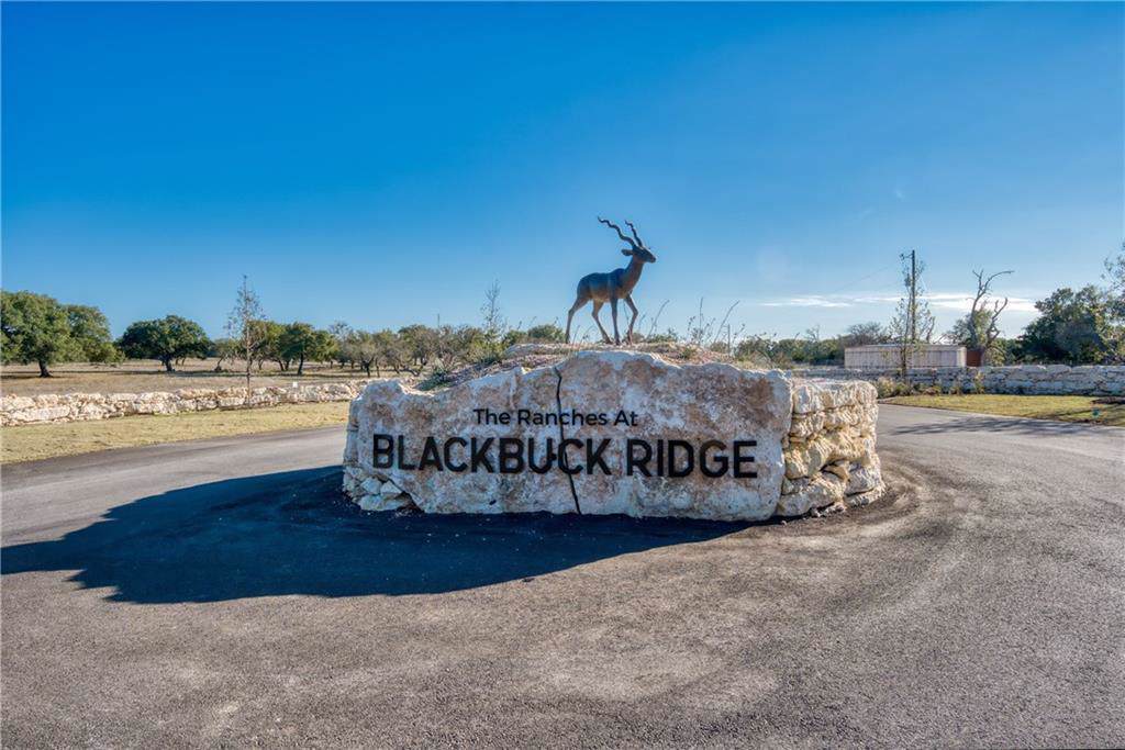 Lot 173 Impala Ln - Photo 1