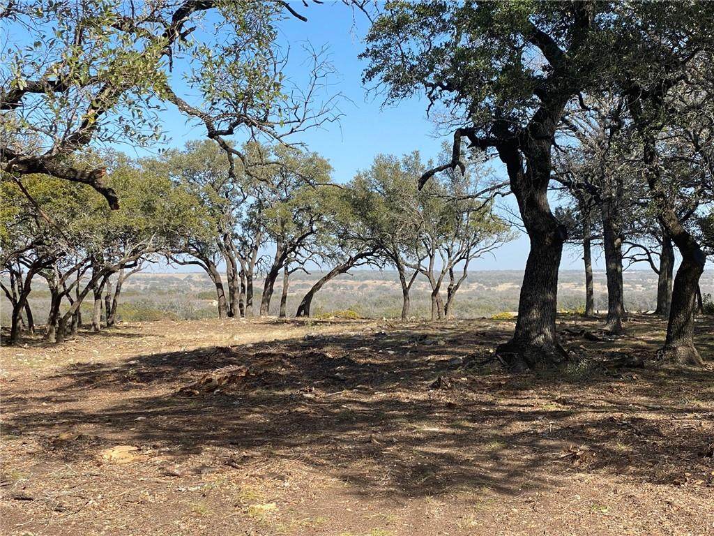 Lot 41 Private Road 4219 - Photo 1