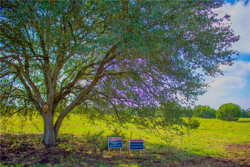 Tract 2 Allison Dr - Photo 1