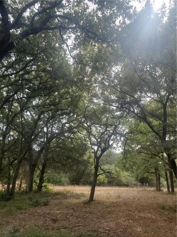 000 County Road 401 - Photo 1