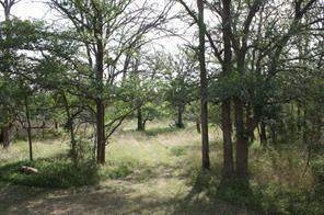 106 Enchanted Woods Trl - Photo 1