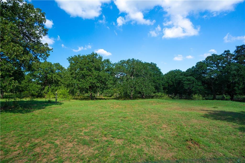 Tract 20 Cross Creek Rd - Photo 1