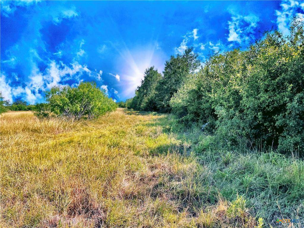 5350 Soda Springs Rd - Photo 1