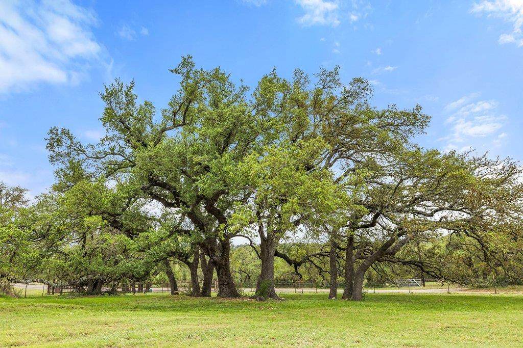 3657 Ranch Road 3232 - Photo 1