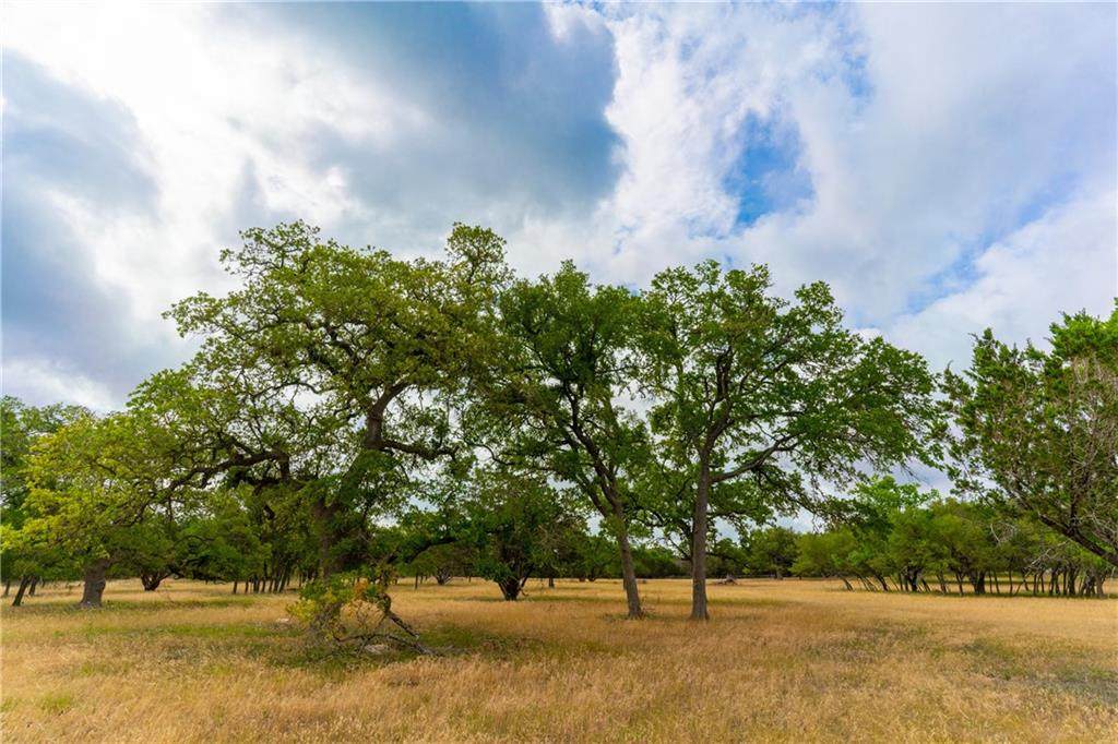 201 Rolling Oaks Dr - Photo 1