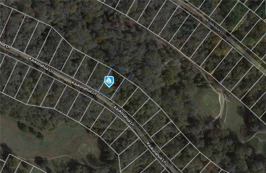Lot 664 Kaukonahua Ln - Photo 1