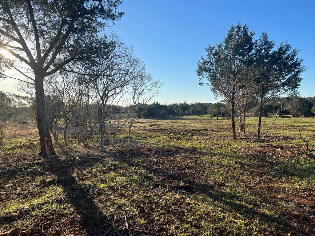 883 Oak Bluff Trl - Photo 1