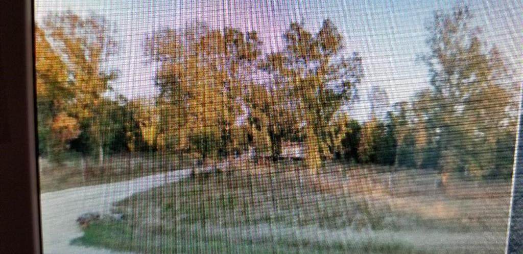 2532 N HWY 77 N 77 Highway - Photo 1