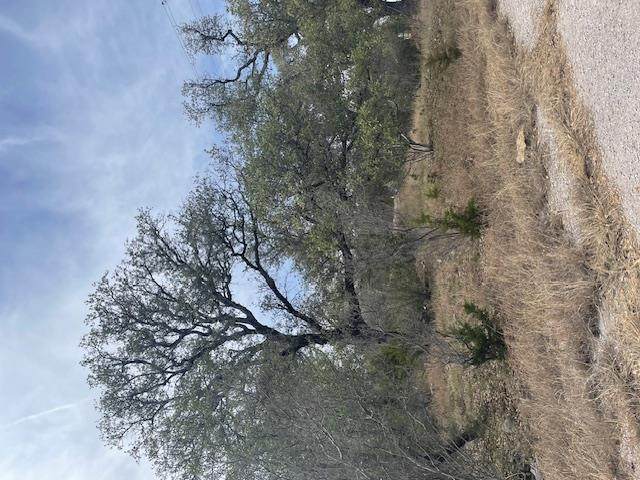 TBD Longbow Dr - Photo 1