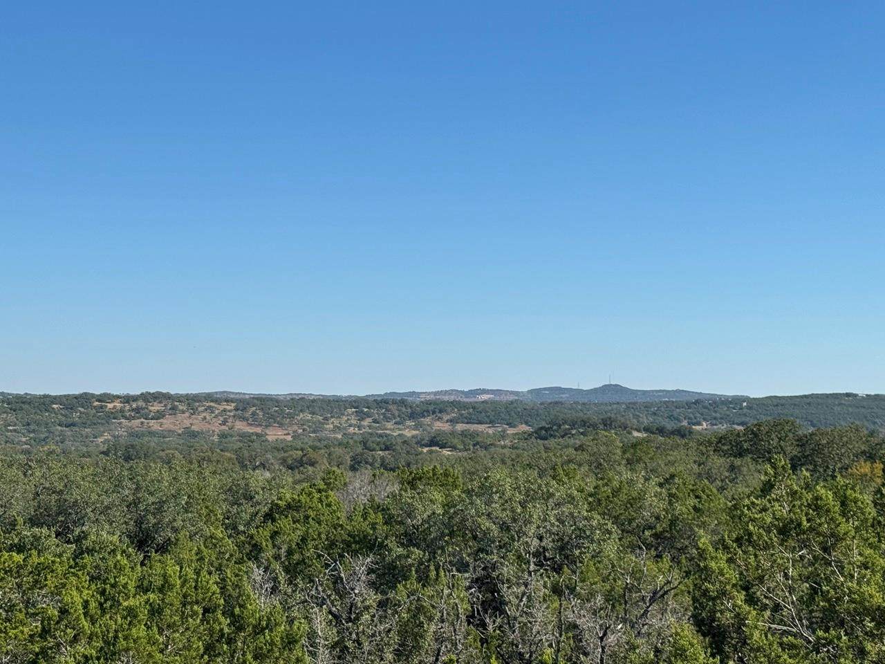 25723 Hamilton Pool Rd - Photo 1